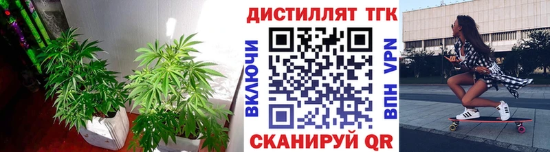 ТГК концентрат Верхняя Салда