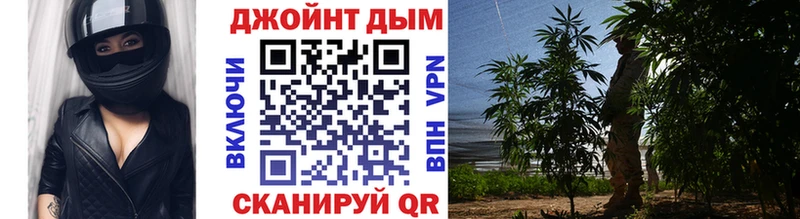 Конопля Bruce Banner  Верхняя Салда 